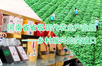 8月21日<div   id=