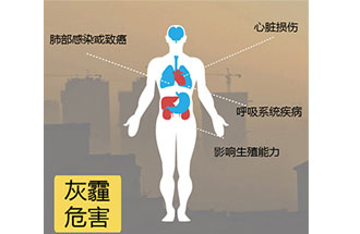 空氣中PM2.5 是由什么物質(zhì)組成的<div   id=